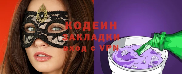 индика Гусев