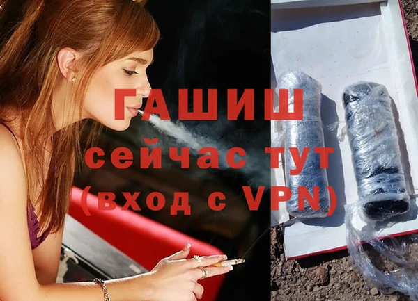 индика Алзамай