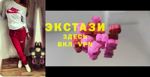 индика Гусев