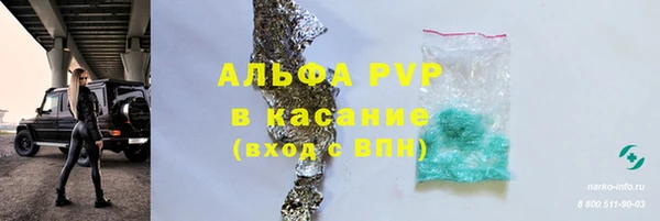индика Алзамай